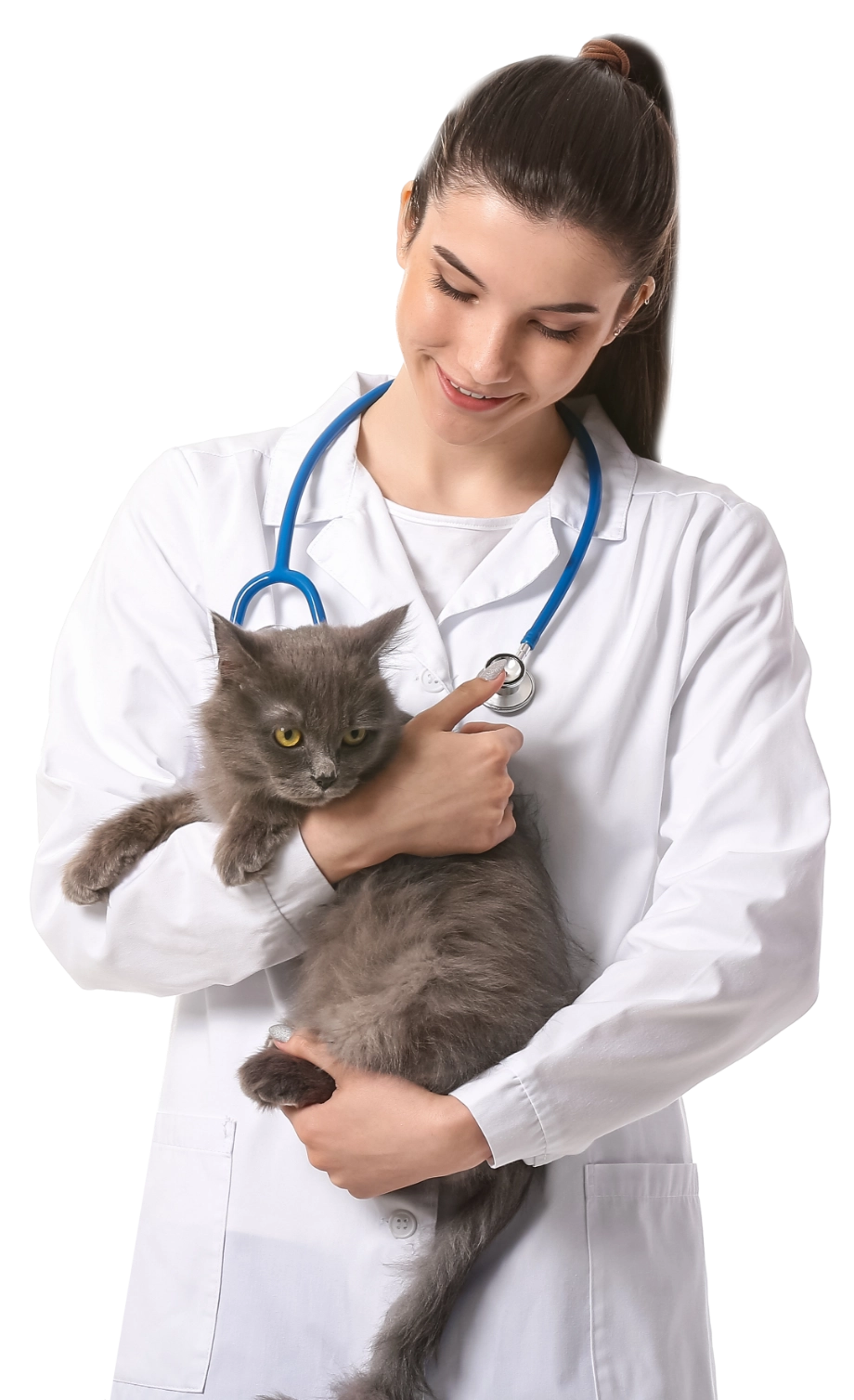 Doctors With Cat Care
